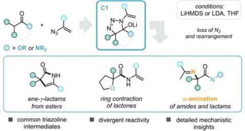 New reaction discovery, in cycloaddition-promoted rearrangement chemistry
