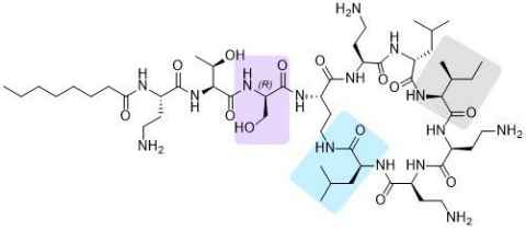 The chemical structure of Macolacin with modification sites highlighted. 