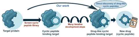 Figure 1 showing the many iterative steps of modification to discover 'drug-like' cyclic peptides.
