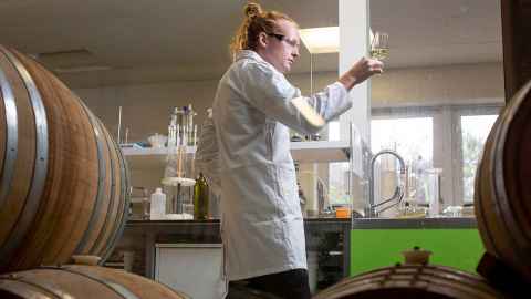 Sally Watson, Niwa co-appointee