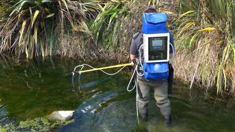Electric fishing used with environmental DNA sensing