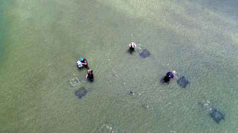 Image of people conducting research in ocean water
