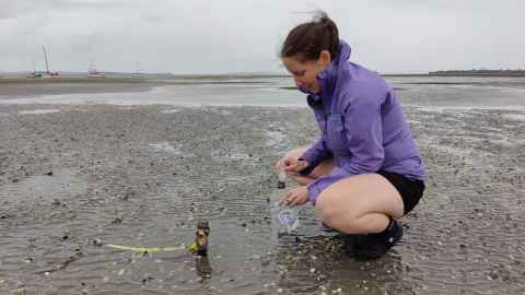 Dr Rebecca Gladstone-Gallagher from the Institute of Marine Science