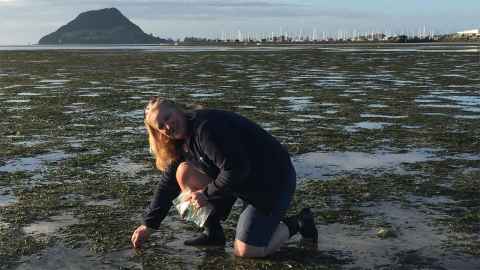 Associate Professor Carolyn Lundquist, Institute of Marine 