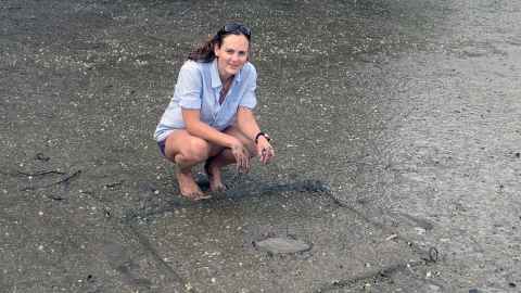 Dr Jenny Hillman, Institute of Marine Science