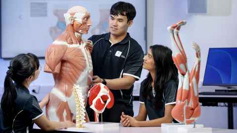 Exercise Sciences students with anatomical models