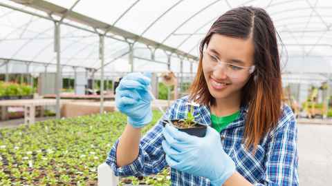 Undergraduate plant science student