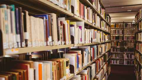 Library books on shelves