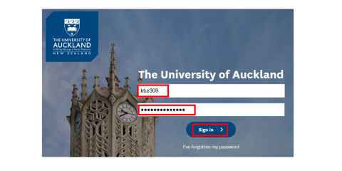 A University sign in page with the username, email and sign in button outlined in red.