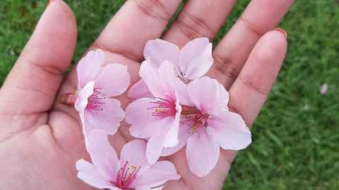 Got your period poster