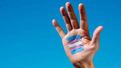 Image of hand with transgender flag painted on