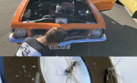 Number-plate sampling