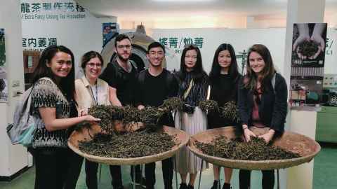Tea factory visit with CAPE interns
