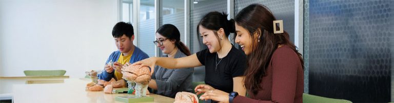 Four university students sitting at a desk in a classroom space handling psychology-related objects.