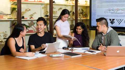A group of people studying together.