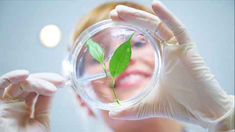 A woman holding a petri dish with a leaf in it.