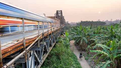 A rusty bridge over a forest of palm trees.