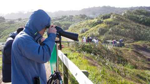 People looking out over green hills.