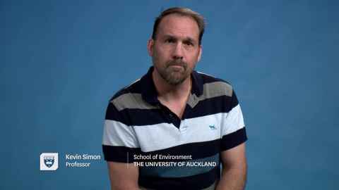 Professor Kevin Simon