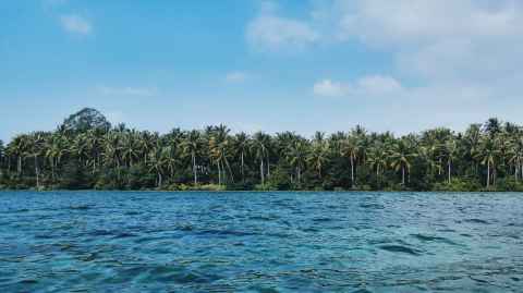 An island covered in palm trees, with the ocean in the foreground.