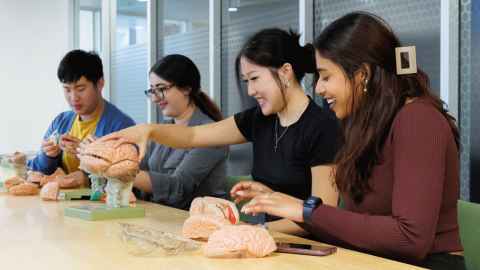 Four university students sitting at a table with psychology-related objects.