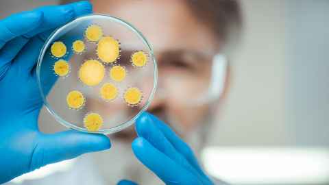 Scientist holding up a petri dish