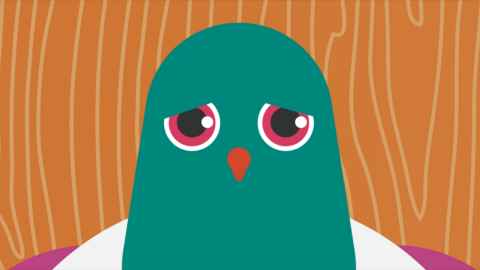 Lou the kereru looking sad